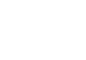 Autonomous Agentic AI