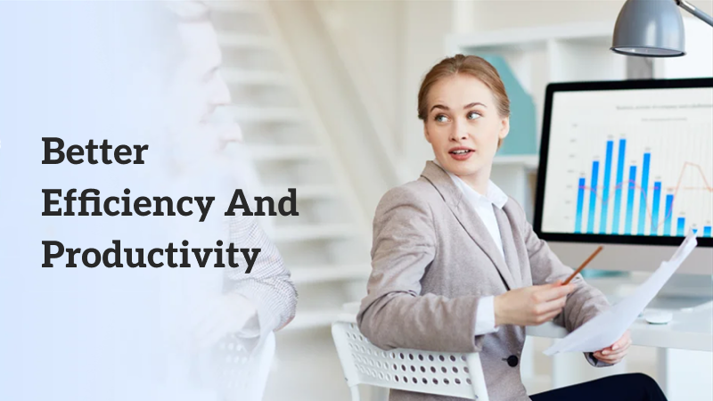 software development company